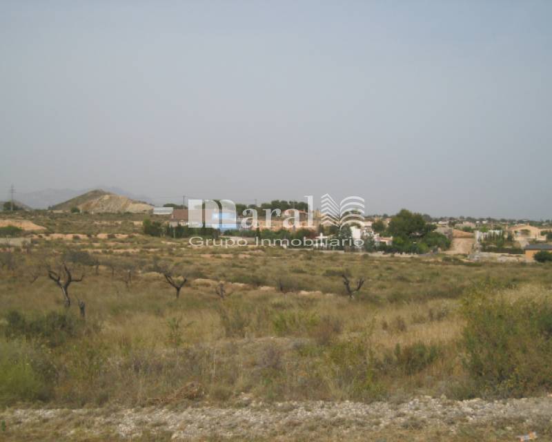 Parcela - Compra - Alicante - Moralet - Cañada del Fenollar