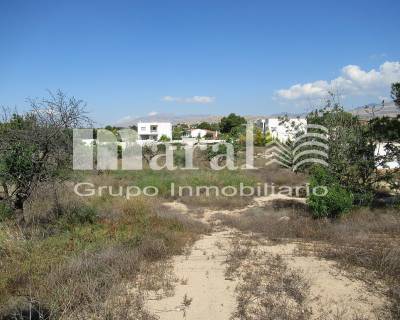 Parcela - Compra - San Vicente del Raspeig - 2381